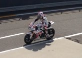 Motorcycle competitor at Superbikes event at Phillip Island Circuit