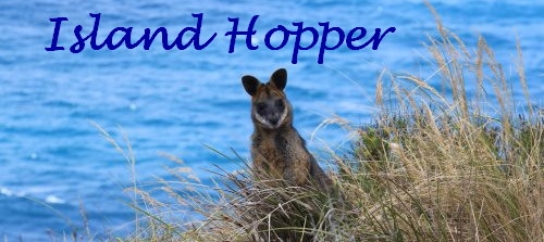 Pancarta para revista Island Hopper con un wallaby de pantano asomándose por encima de la colina.
