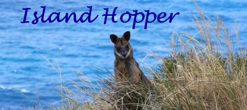 Banner pro časopis Island Hopper s bažinatým klokanem vykukujícím nad vzestupem.