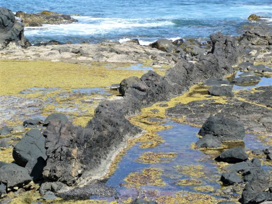 Volcanic dyke at Kitty Miller Bay, Phillip Island