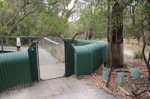Entrance to the Koala Boardwalk Enclosure at the Koala Conservation Reserve, Phillip Island