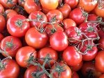 Fresh tomatoes at market