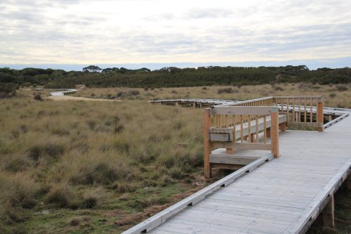 Boardwalk at Scenic Estate Conservation Reserve