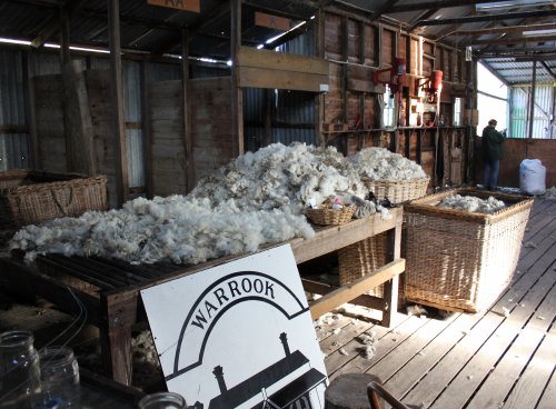 Shearing shed at Warrook Farm