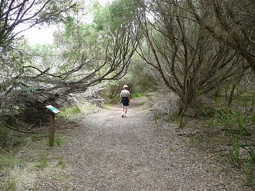 Walk to Swan Lake