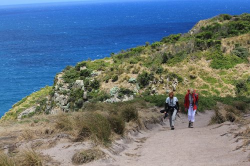 Walking track at Cape Woolamai