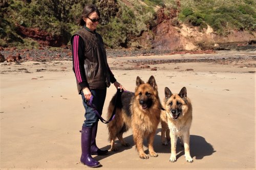 Dog walker on the beach with two dogs on leads.