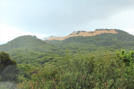 Sand dunes at Wilsons Promontory