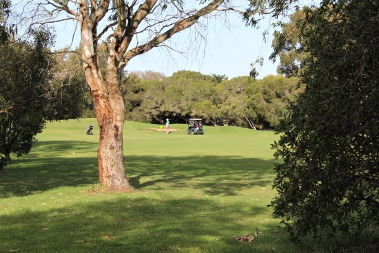 Players at Phillip Island Golf Club