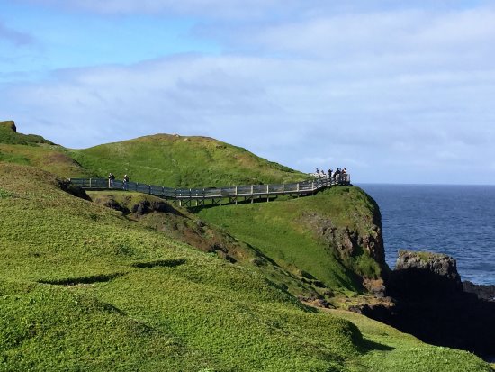The boardwalk at The Nobbies, Phillip Island. The boardwalk and lookout at The Nobbies, Phillip Island.