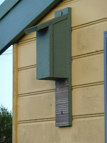 Insect bat box attached to a house wall. Insect bat roosting box we installed on the wall of our Phillip Island home.