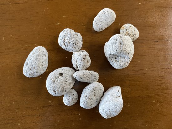 Collection of pumice stone on a table top. Pieces of pumice stone found on Phillip Island beaches