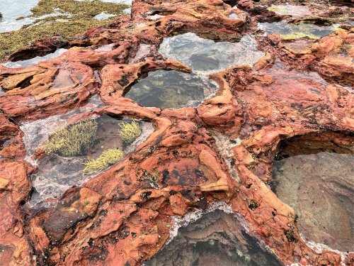 Rock pools (tide pools) at Smiths Beach, Phillip Island.
