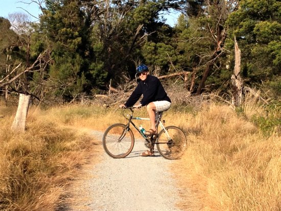 Phillip Island bike paths include Oswin Roberts Reserve, through tranquil woodland