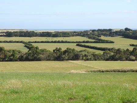 View from Hurricane Hill
