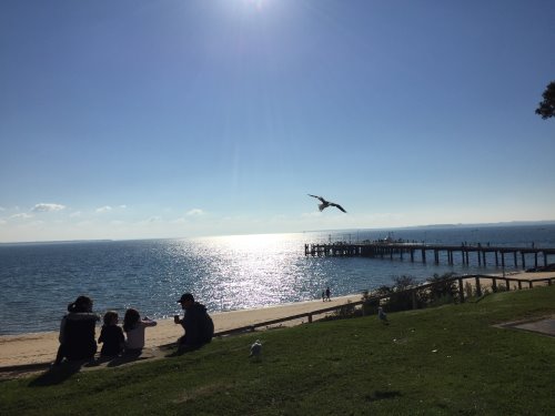 Enjoying the winter sun in Cowes, Phillip Island