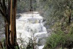 Agnes Falls near Toora, Gippsland, Victoria