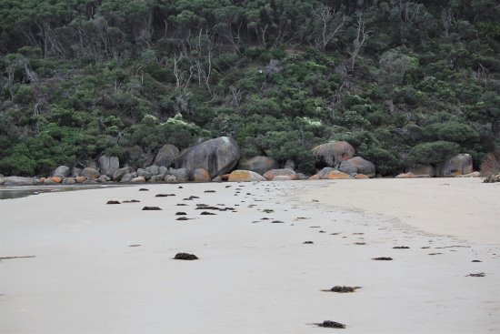 Beach scene at Tidal River, Wilsons Promontory, Victoria