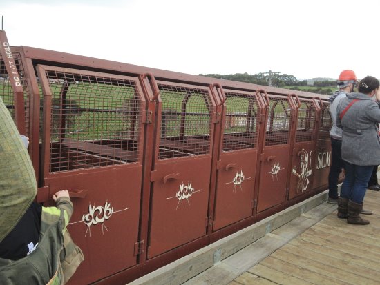 Underground train at Wonthaggi Coal Mine, Gippsland, Victoria