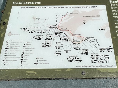 Map showing fossil sites in Bass Coast Shire. A map showing fossil sites along Bass Coast coastline.