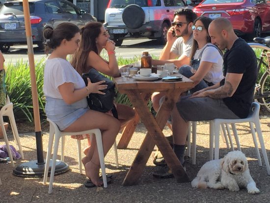 Pet friendly cafe at Phillip Island