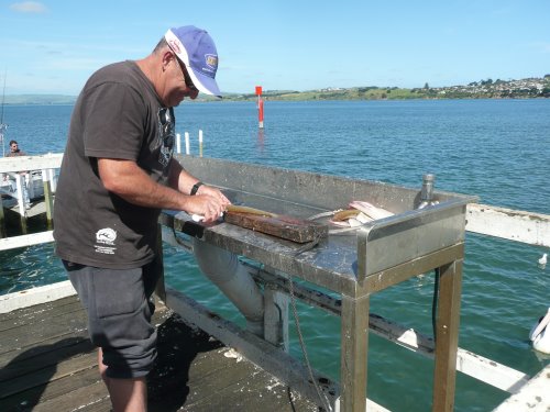 Fisherman cleaning the catch at a bench.