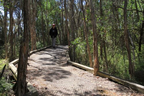 Boardwalk at Fisher's Wetland