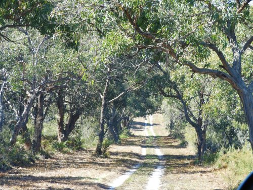 Walking/cycling track at French Island National Park