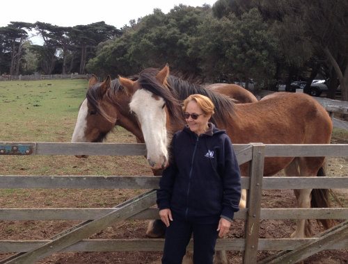Talk to the horses at Churchill Island Heritage Farm
