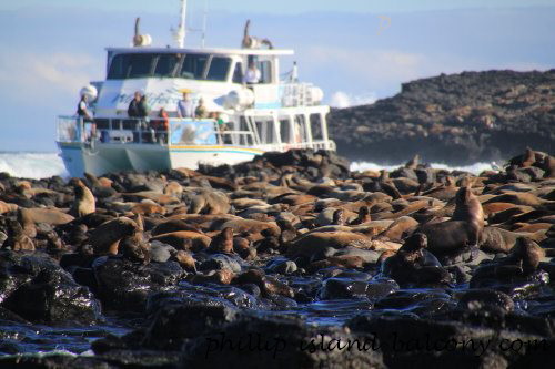 Kasey Lee at Seal Rocks Kasey Lee at Seal Rocks