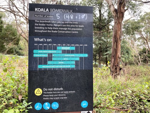 A notice board at the Koala Conservation Reserve showing information about the koala enclosure.