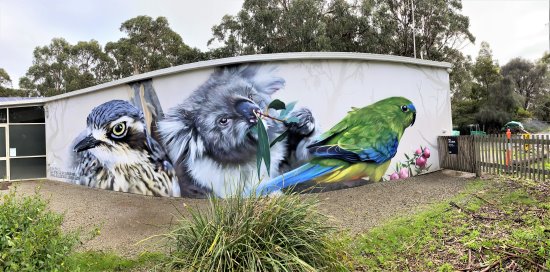 A mural at the Koala Conservation Reserve, Phillip Island, showing a koala and birds.