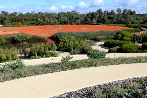 View to red sand garden