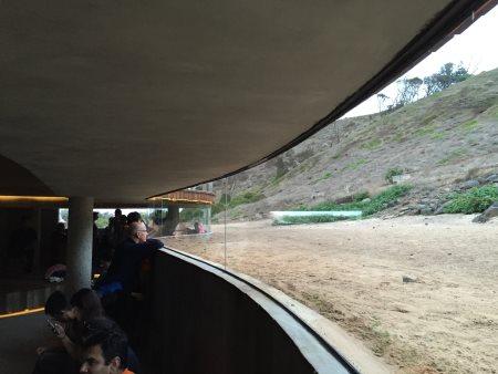 Underground viewing experience at the  Phillip Island penguin parade