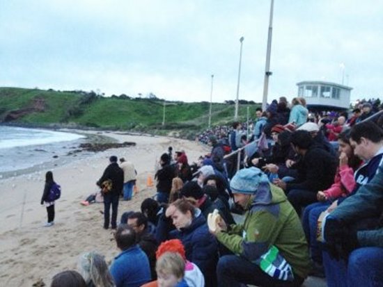 Crowd waiting for the penguin parade to begin at Phillip Island