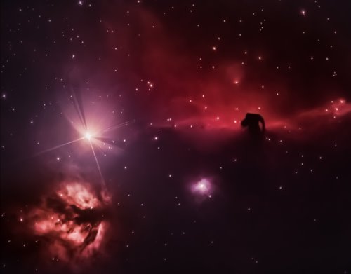 The Horse Head Nebula in the night sky as seen from Phillip Island Observatory