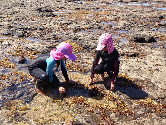 Children rock pool rambling on Phillip Island.