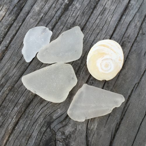 Collection of sea glass on wooden board. Pieces of sea glass.
