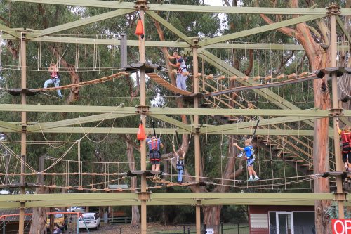 Sky Trail Climbing Experience at Amaze 'N Things, Phillip Island