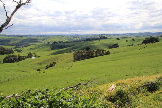 Rolling green hills of South Gippsland. Beautiful rolling hills of South Gippsland, Victoria