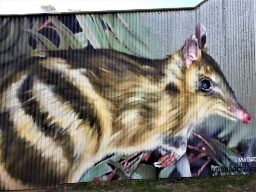 Eastern barred bandicoot mural at Churchill Island Heritage Farm