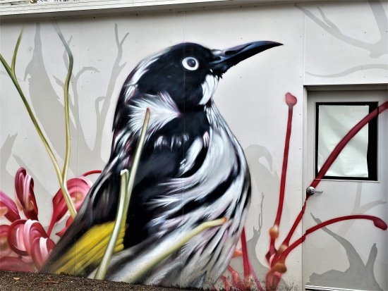 Mural of New Holland Honeyeater by Jimmy Dvate at the Koala Conservation Reserve, Phillip Island.