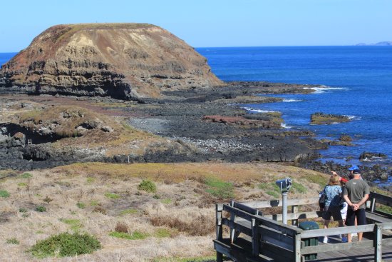 A viewing platform at The Nobbies, Phillip Island