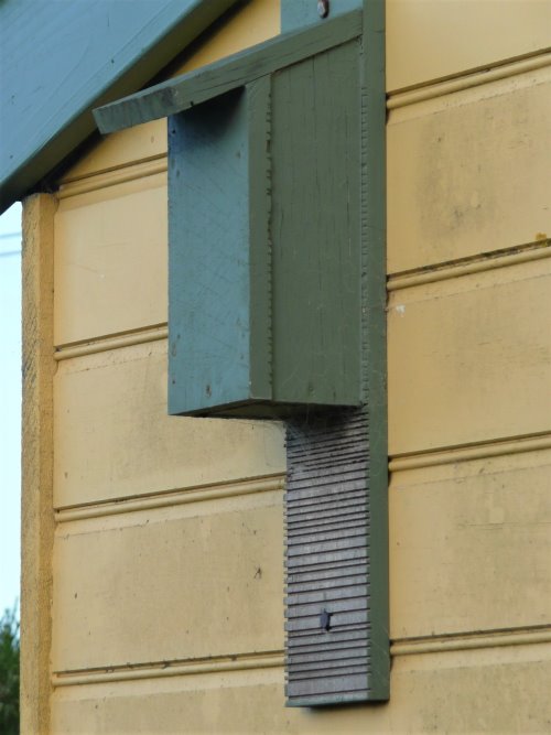 Insect bat roosting box we installed on the wall of our Phillip Island home.