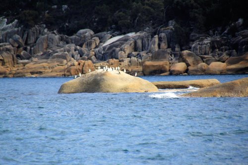 Wilsons Promontory National Park