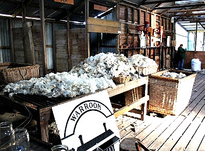 Shearing shed with fleeces on a table at Warrook Farm.